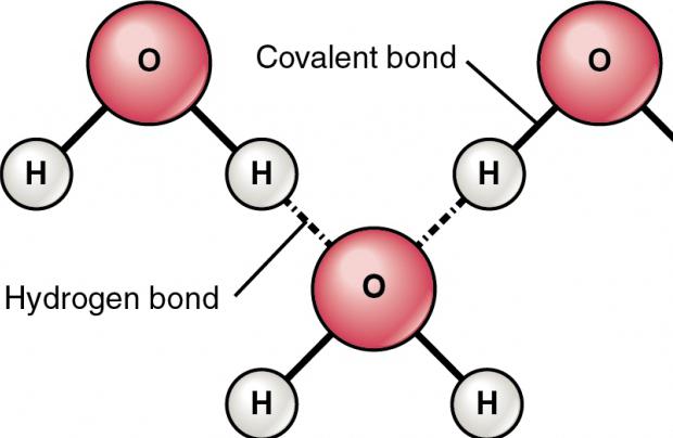 Свойства атома водорода