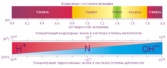 pH-среда. Возможные состояния организма