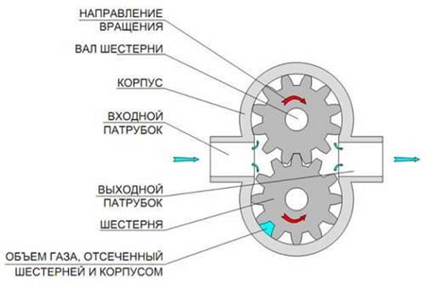 Зубчатый